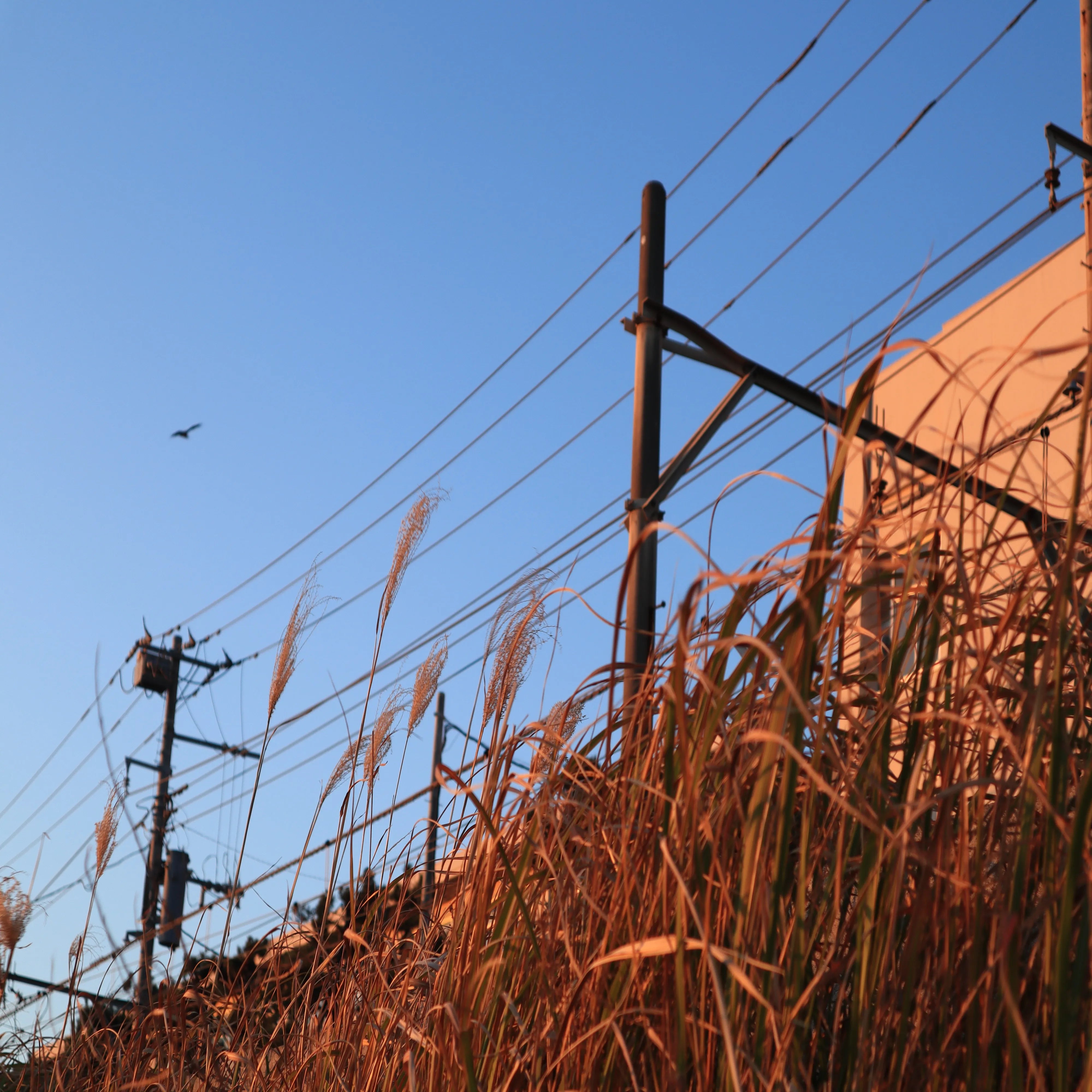 ポジティブも万能じゃない。ネガティブに引っ張られることもある。