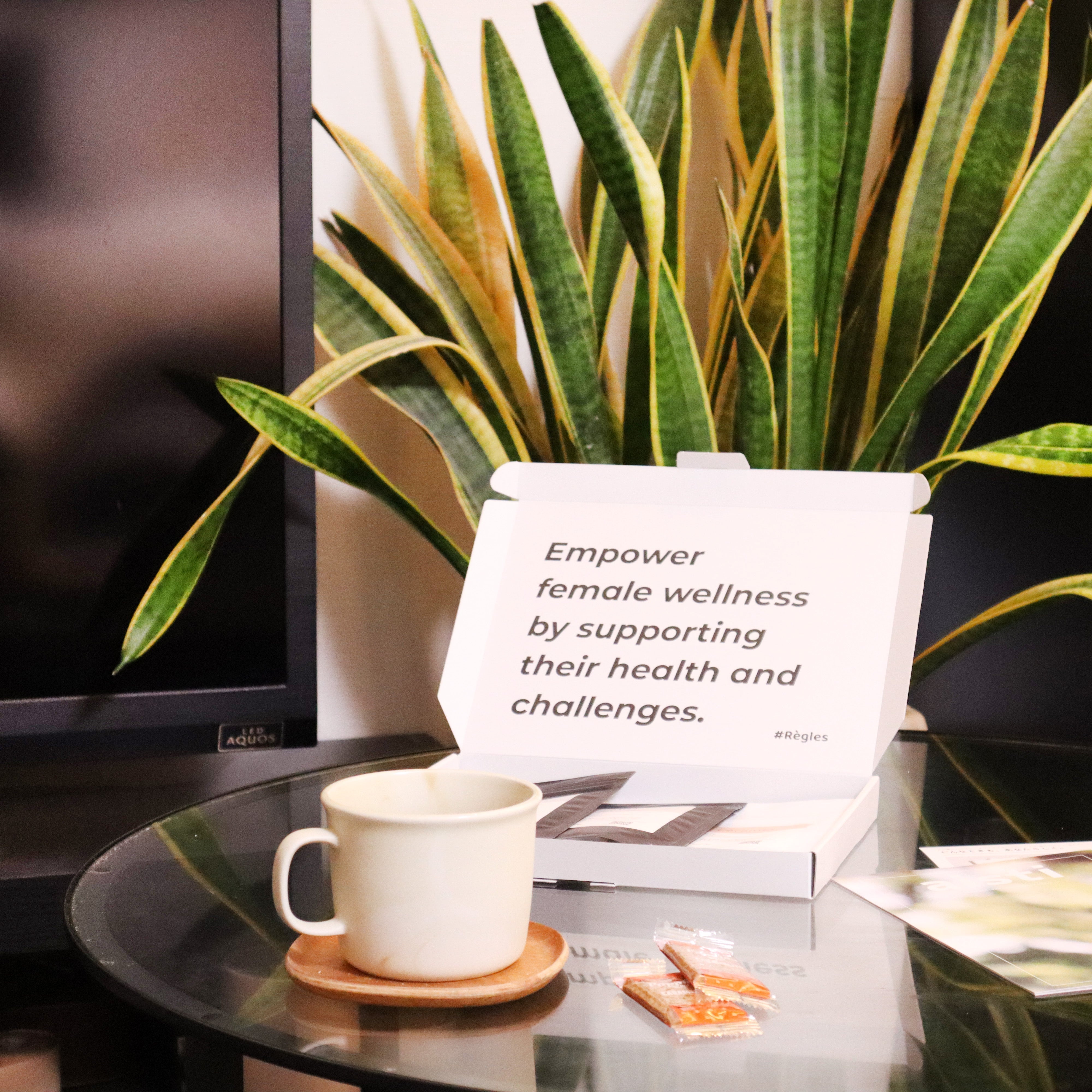 お試しセット Limited Box /ジンジャー