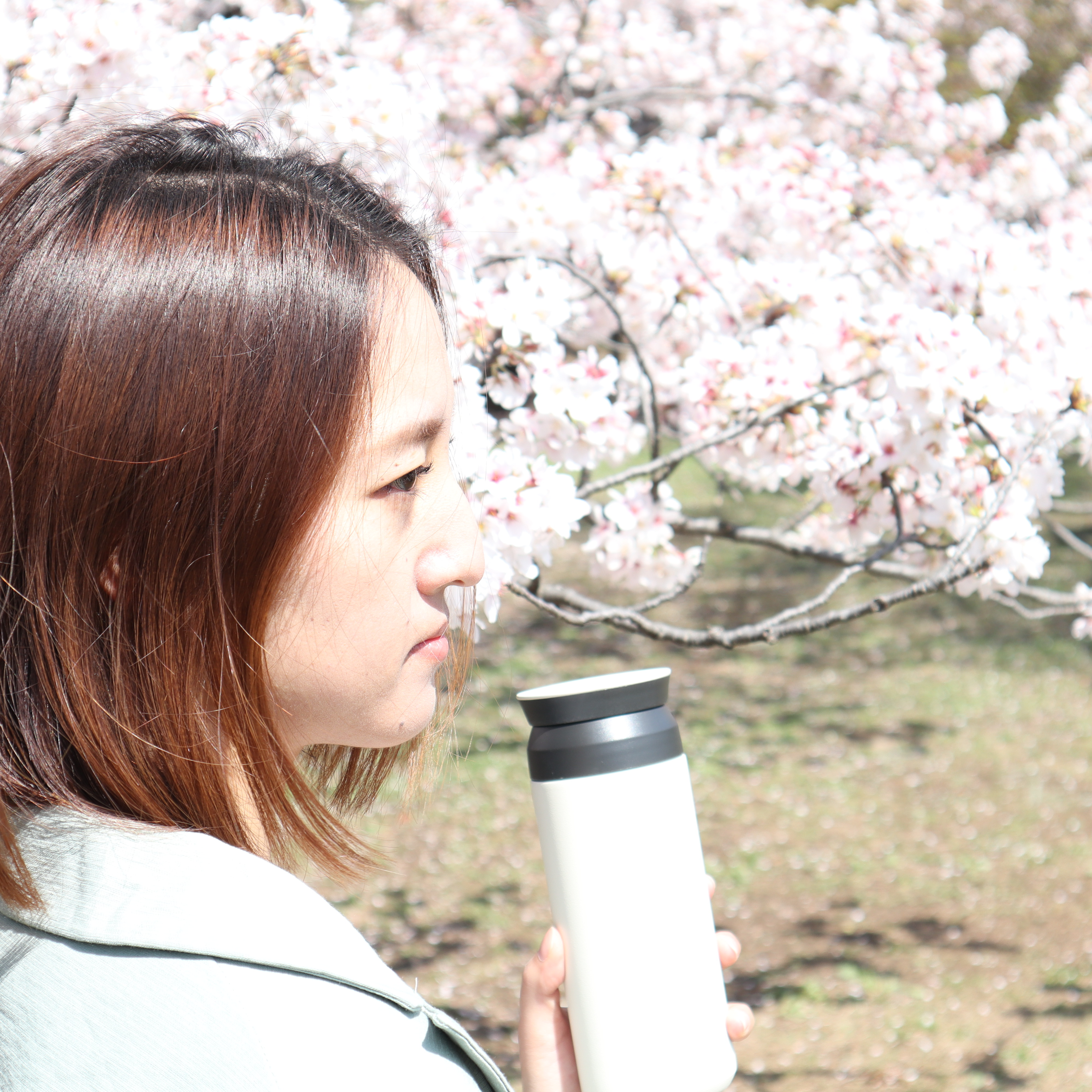 HOJICHA / ほうじ茶
